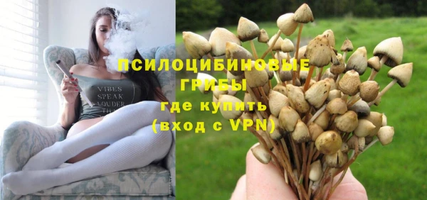 винт Алексин