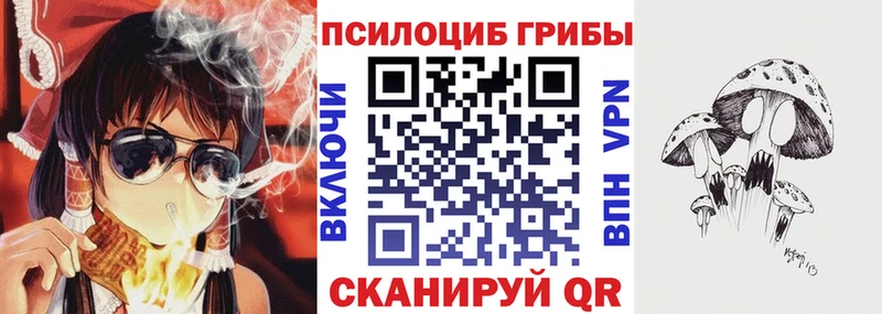 закладки  Красногорск  Псилоцибиновые грибы Cubensis 